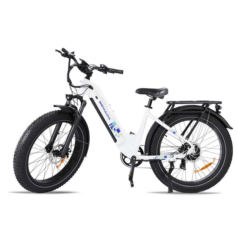 Senada MAYOR 750W 48V 20Ah Premium All-terrain Fat Tire Electric Bike