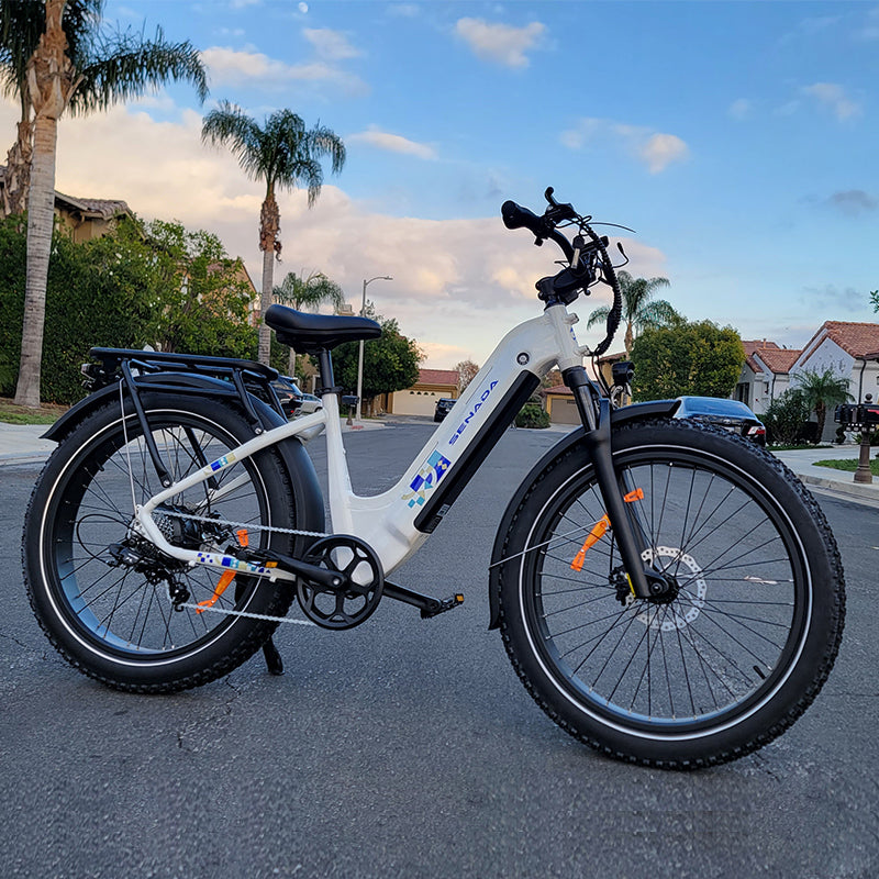 Senada MAYOR 750W 48V 20Ah Premium All-terrain Fat Tire Electric Bike