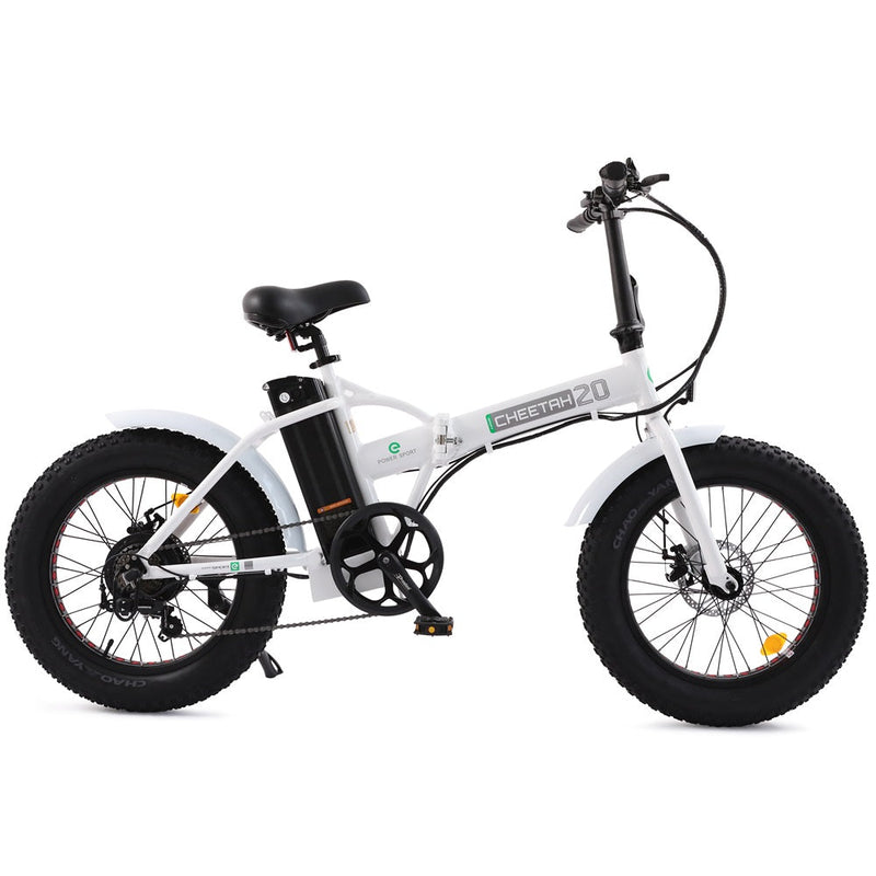 Ecotric UL Certified 36V Fat Tire Portable and Folding Electric Bike