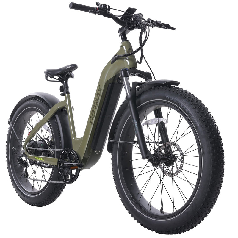 GoTrax Tundra Electric Bike